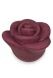 Mini-Urne rose 'Rouge'