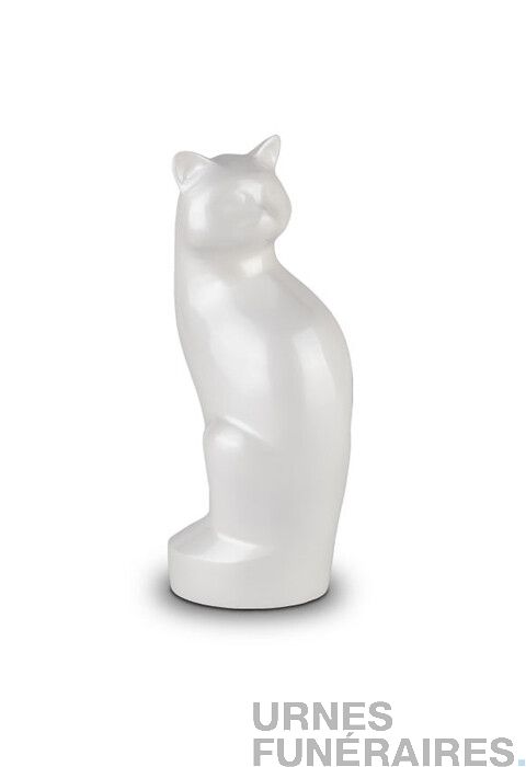 Naroote Urne funéraire pour animal de compagnie, boîte urne commémorative  en bois sculpté avec motif de patte sculptée pour cadeau pour chat